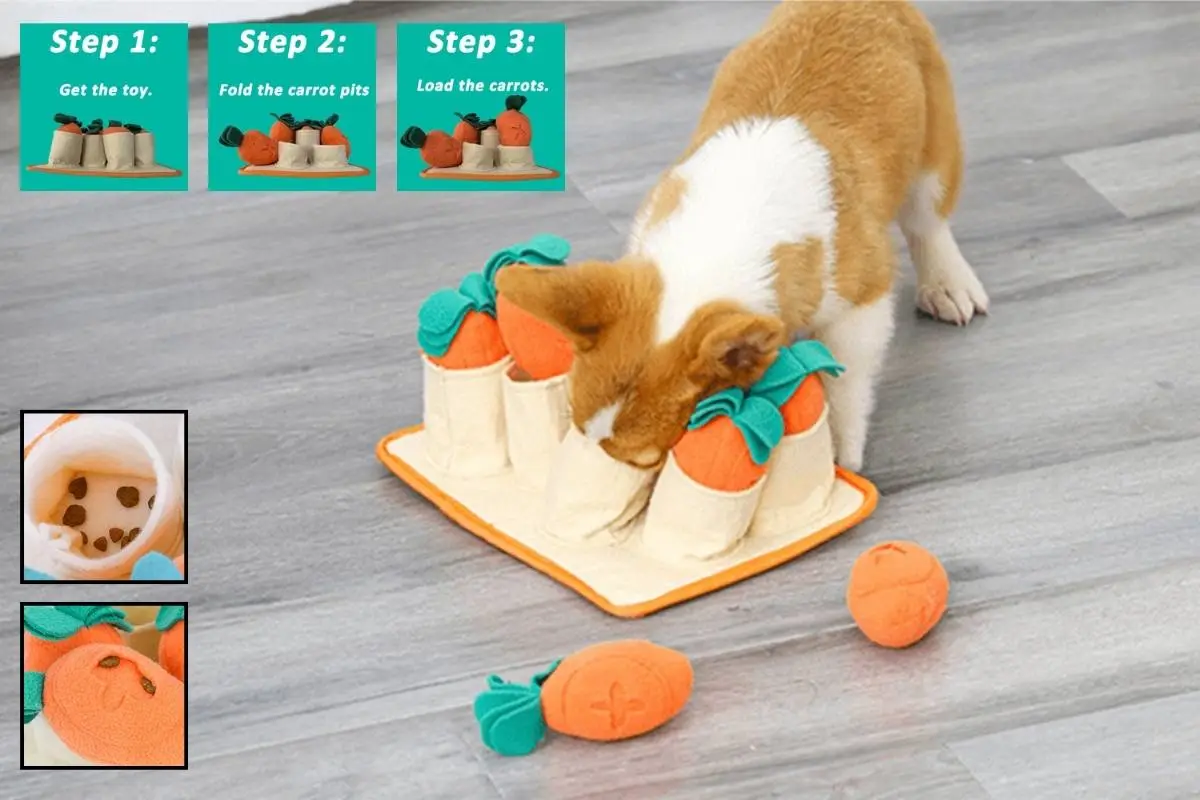 Dog Toy Review